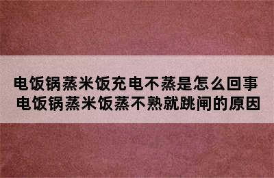 电饭锅蒸米饭充电不蒸是怎么回事 电饭锅蒸米饭蒸不熟就跳闸的原因